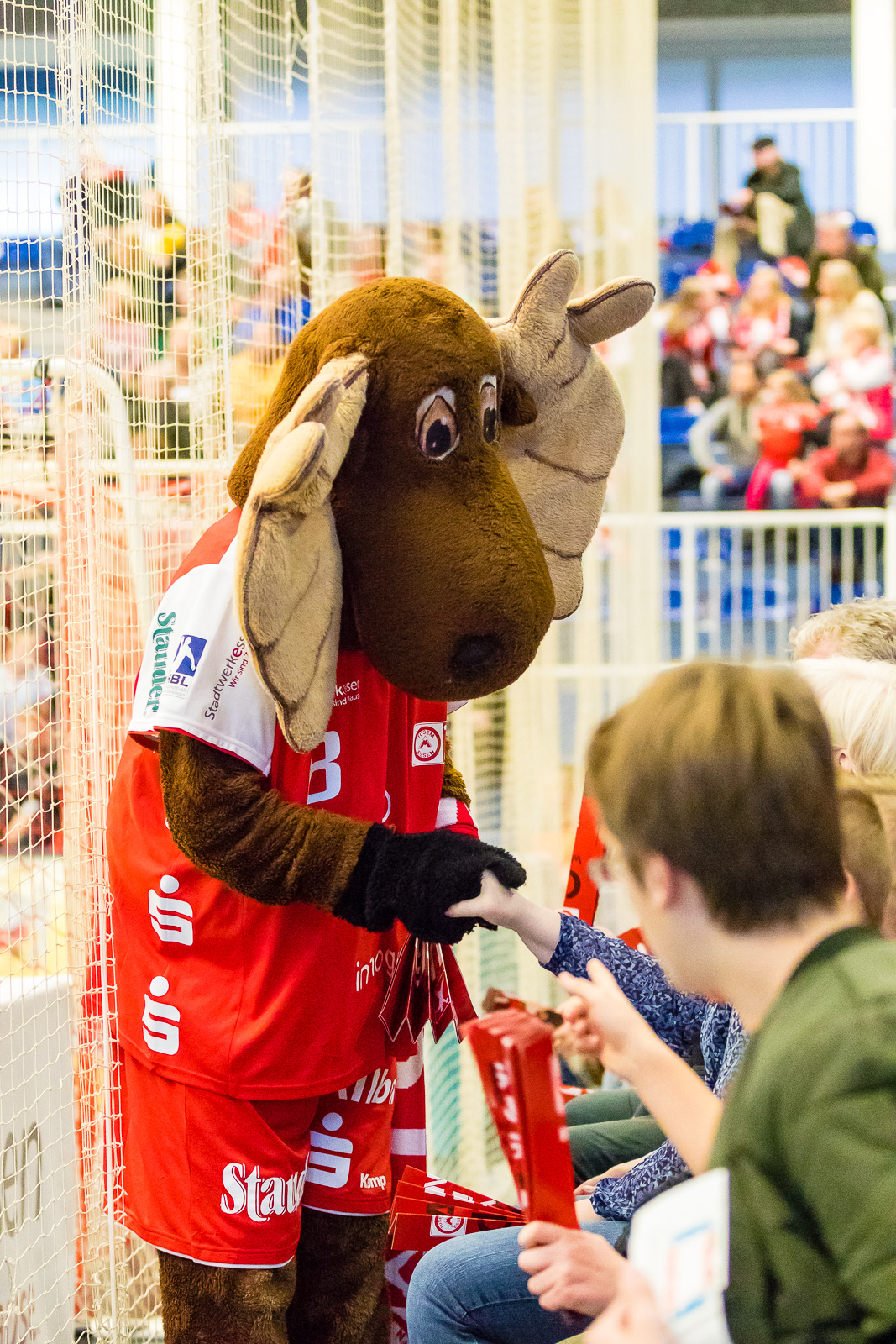 HSG Wesel E-Jugend / Einlaufkids TUSEM Essen 2017